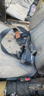 Polo emniyet kemerleri