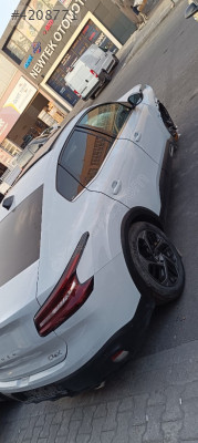 CİTRÖEN C4X KESME SAĞ SOL ŞASE PODYE