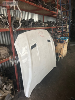 Mustang kaput