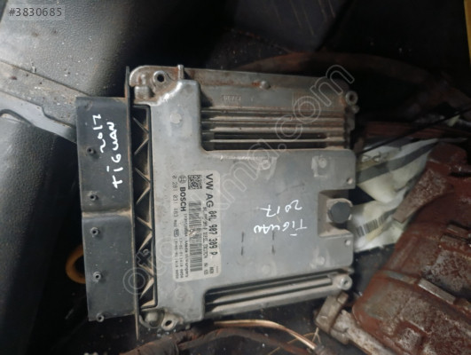 Tiguan motor beyni