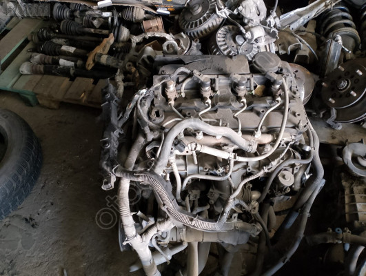 ÇIKMA FORD TRANSİT 2020 KOMPLE MOTOR