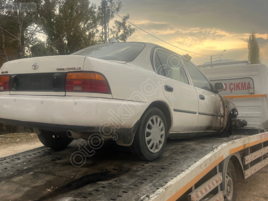 Toyota Corolla arka  çamurlukla