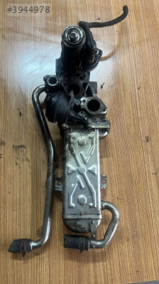 Volkswagen Passat Egr valfi çıkma