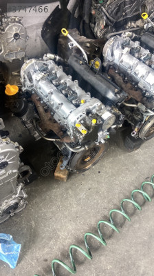 Linea motor