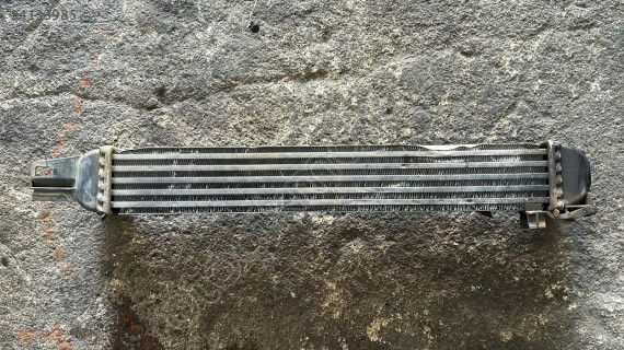 Fiat fioniro intercool gurubu