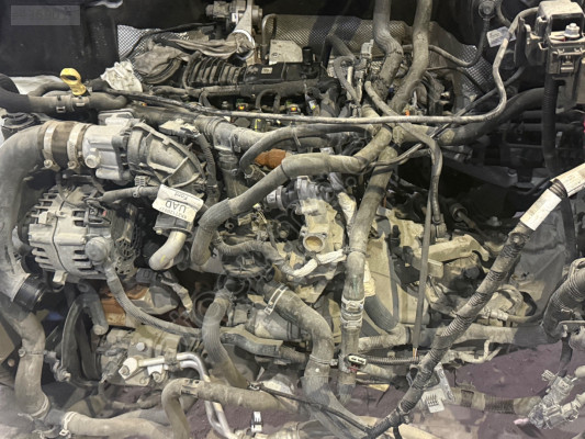 Ford transit motor 2023