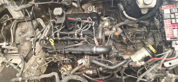 Ford journey Cikma Motor