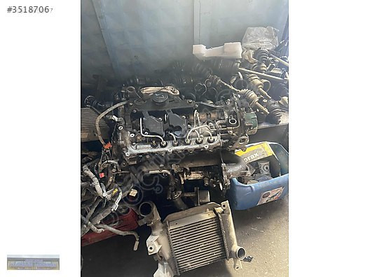 Nissan Juke Motor