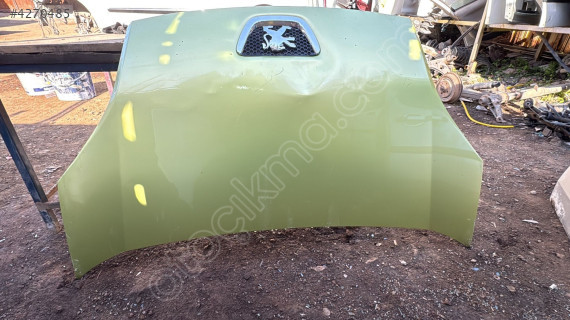 Pejo bipper motor kaputu çıkma