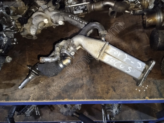FORD FOCUS 3  EGR GÜÇMANLAR
