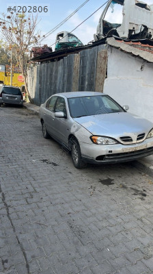 Nissan Primera gogusluk