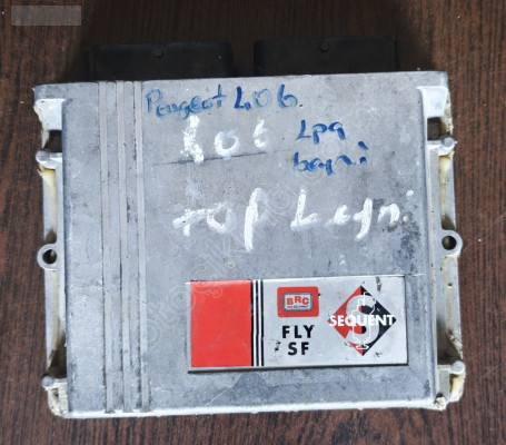 PEUGEOT 406 LPG BEYNİ