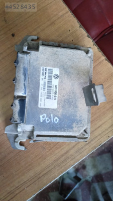 Polo motor beyni
