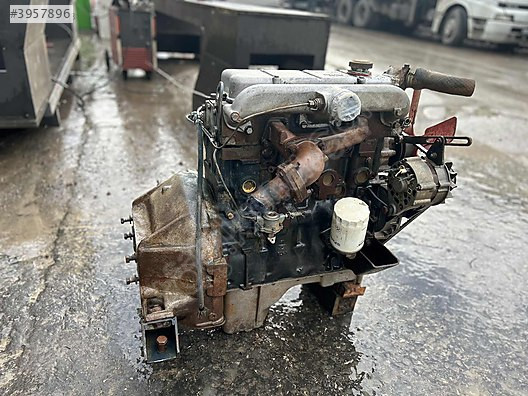 Dodge AS250 FINDIK MOTOR TERTEMİZ BUHARSIZ