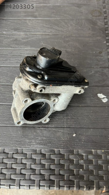 Ford grubu gaz kelebeği