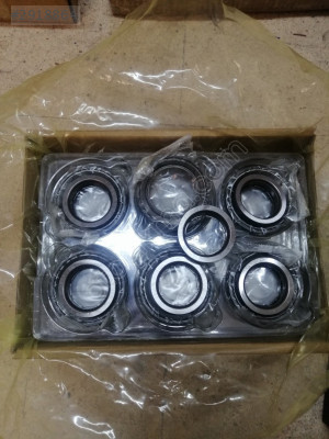 DSG 700 LÜK KAVRAMA RULMANI VE PULLARI