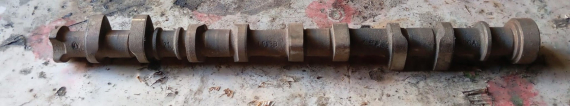 ford focus eksantrik mili