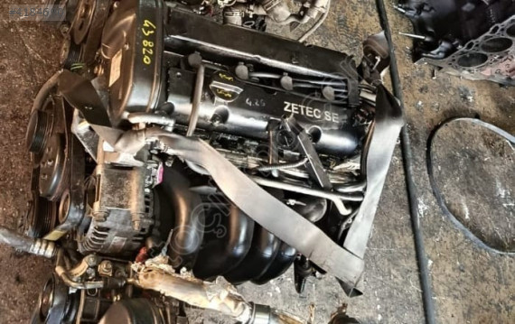 Ford focus 1.6 zetec motor