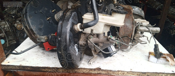 Gelly echo westinghaus