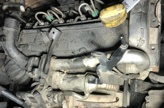 Renault Fluance 1.5 dCi Emme ve Egzoz Manifoldu
