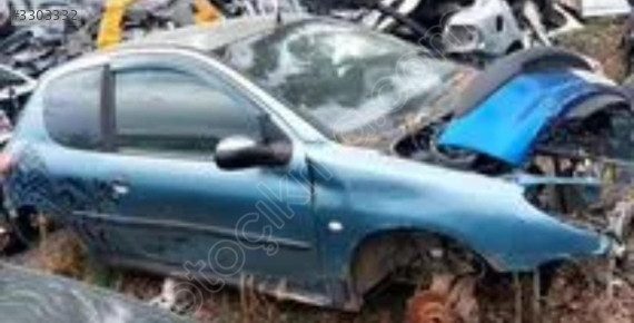 Peugeot 206 kapı cami