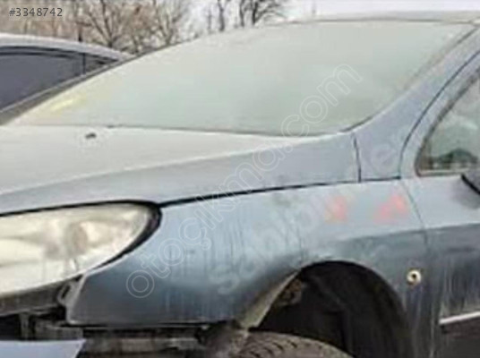Peugeot 407 Kapı Camı