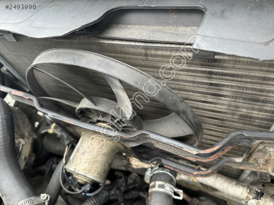 Renault Megane 1 fan takımı