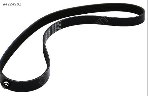 ŞARZ KAYIŞI (6PK 1070) POLO 96-00 030145933T