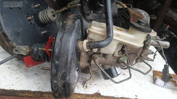 Gelly echo westinghaus