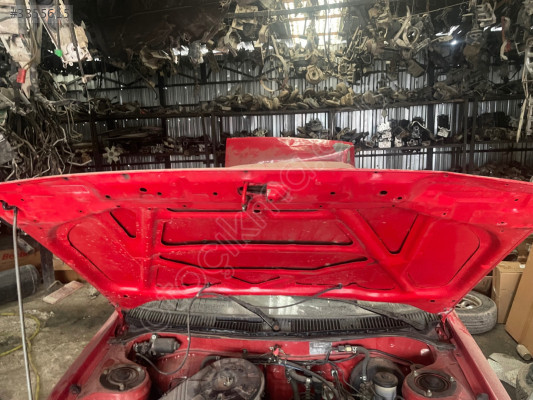 Toyota Corolla fındık kasa kaput