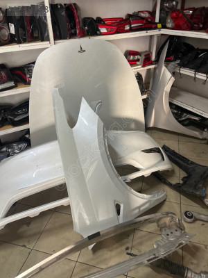 Tesla y sag ön çamrluk