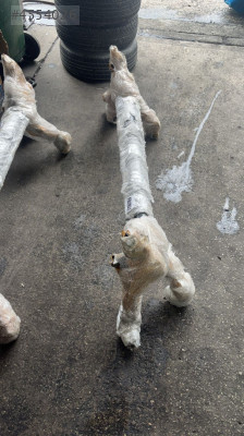 PEUGEOT 206  SIFIR ORİJİNAL DİNGİL