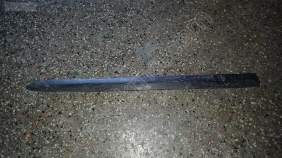 2003-2006 Nissan Almera sol ön kapı çıtası