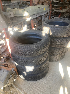 185-65 15 inç petlas kışlık lastik