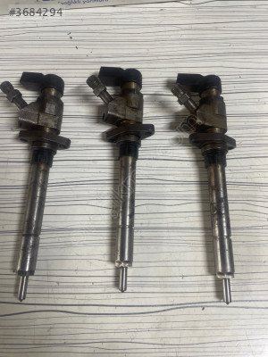 Peugeot citroen ford enjektör sökme