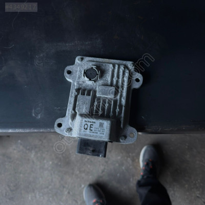 JUKE ŞANZIMAN BEYNİ