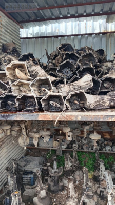 Şahin doğan şamzıman