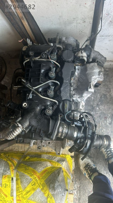 Ford Focus 1.6 Dizel Motor