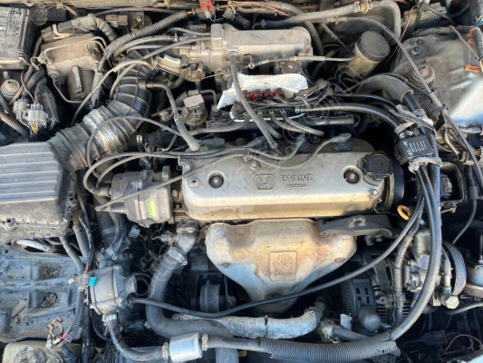 Honda Euroaccord F20 Çıkma Orjinal Temiz Motor