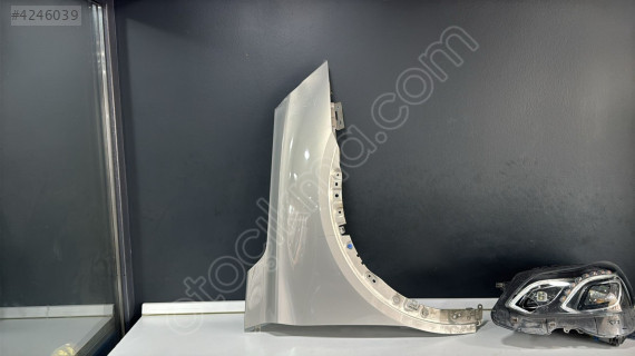 DS 7 SAĞ ÖN ÇAMURLUK