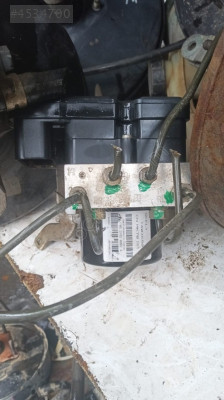 Gelly echo abs beyni