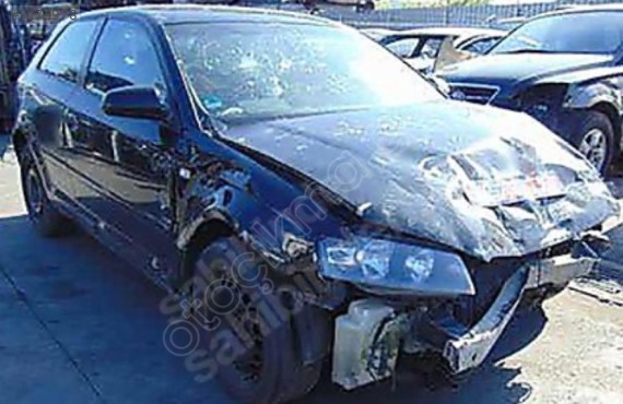 AUDI A3 KESME TAVAN ARKA PANEL KAPI ARKA ÖN TRAVERS BAGAJ