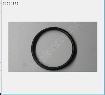 VOKLSWAGEN ORİNG TERMOSTAT 038121119B