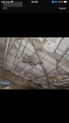 Alfa romeo sol ön cam kirkosu