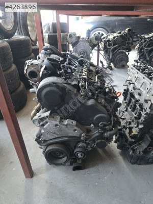 1.6 Cay kedi Polo Golf motor