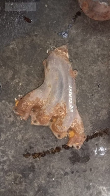 Kia klarus egzoz manifod