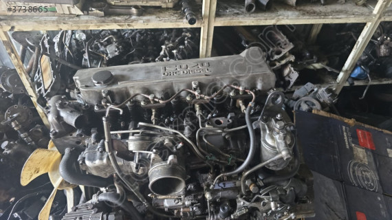 Isuzu NPR 66 şampiyon motoru
