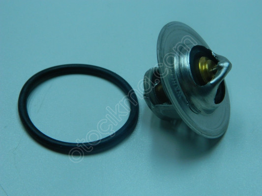 TERMOSTAT POLO 02-05 032121110F