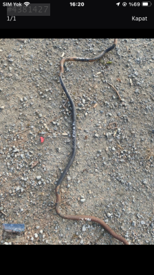 Volkswagen Polo Classic viraj demiri