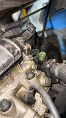 Laguna 1 eksantrik okuyucu